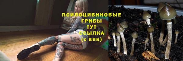 apvp Елабуга