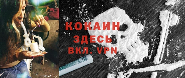 mdpv Ельня