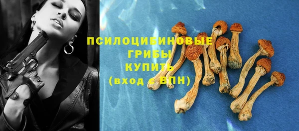 меф Дмитровск