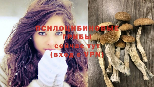 mdpv Ельня